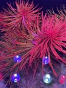 IMG_0585.JPG